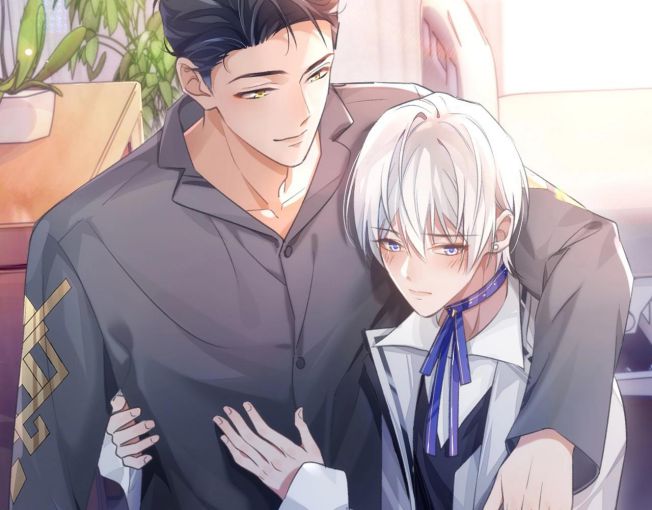 Đơn Xin Ly Hôn Văn Án - Next Văn Án