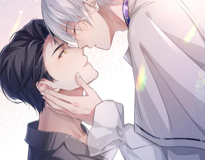 Đơn Xin Ly Hôn Văn Án - Next Văn Án