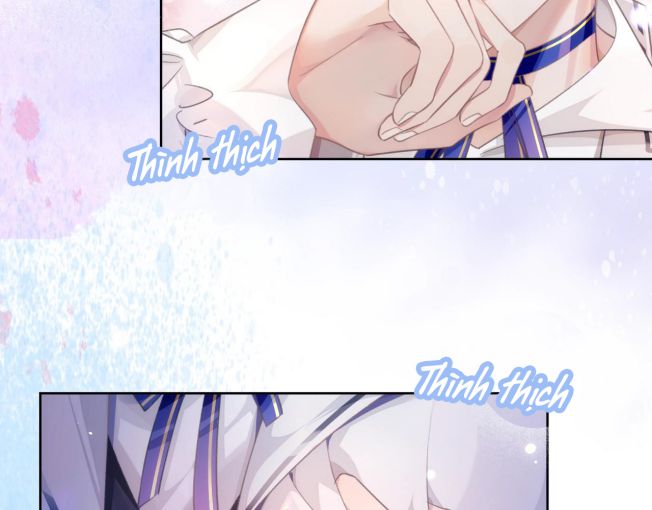 Đơn Xin Ly Hôn Văn Án - Next Văn Án