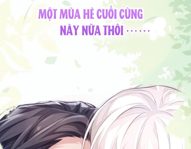 Đơn Xin Ly Hôn Văn Án - Next Văn Án