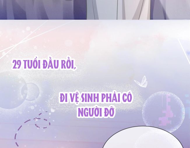 Đơn Xin Ly Hôn Văn Án - Next Văn Án