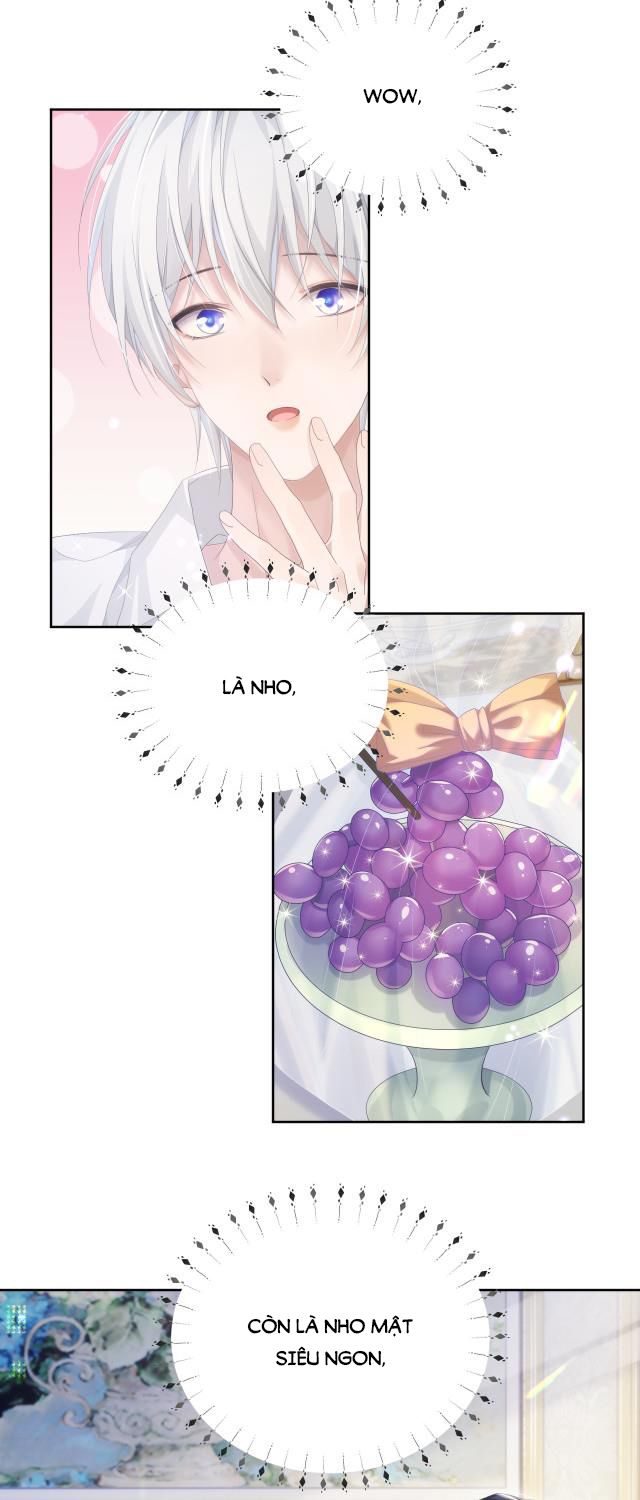 Đơn Xin Ly Hôn Chapter 8 - Next Chapter 9