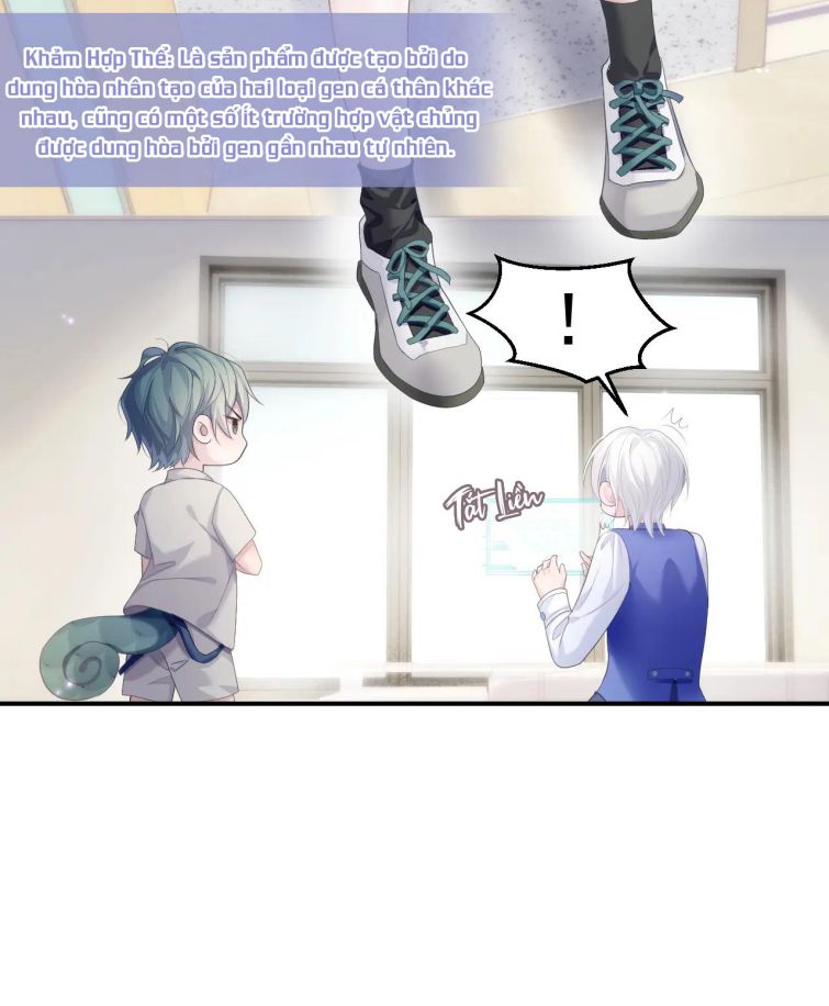 Đơn Xin Ly Hôn Chapter 33 - Next Chapter 34