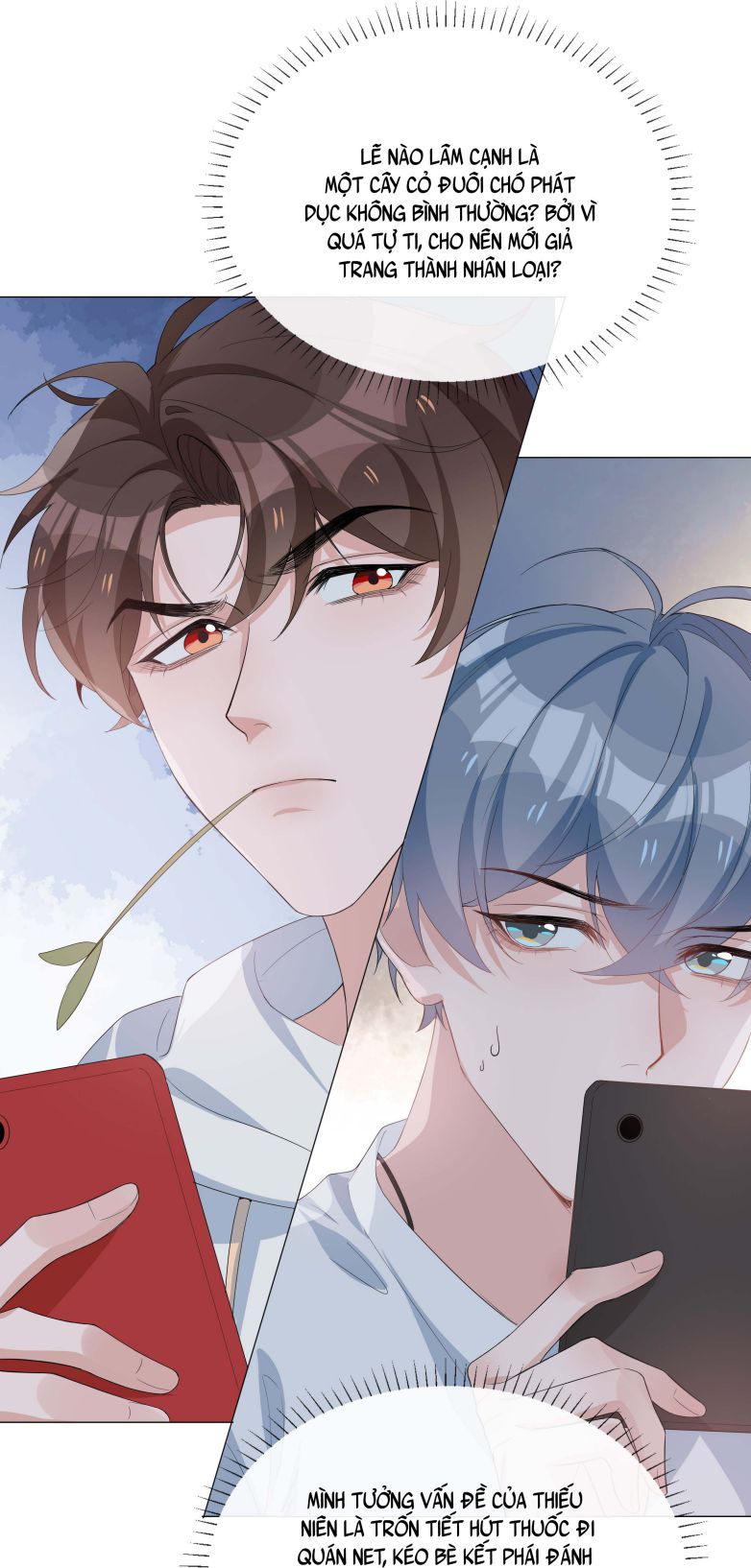 Sơn Hải Cao Trung Chapter 16 - Next Chapter 17