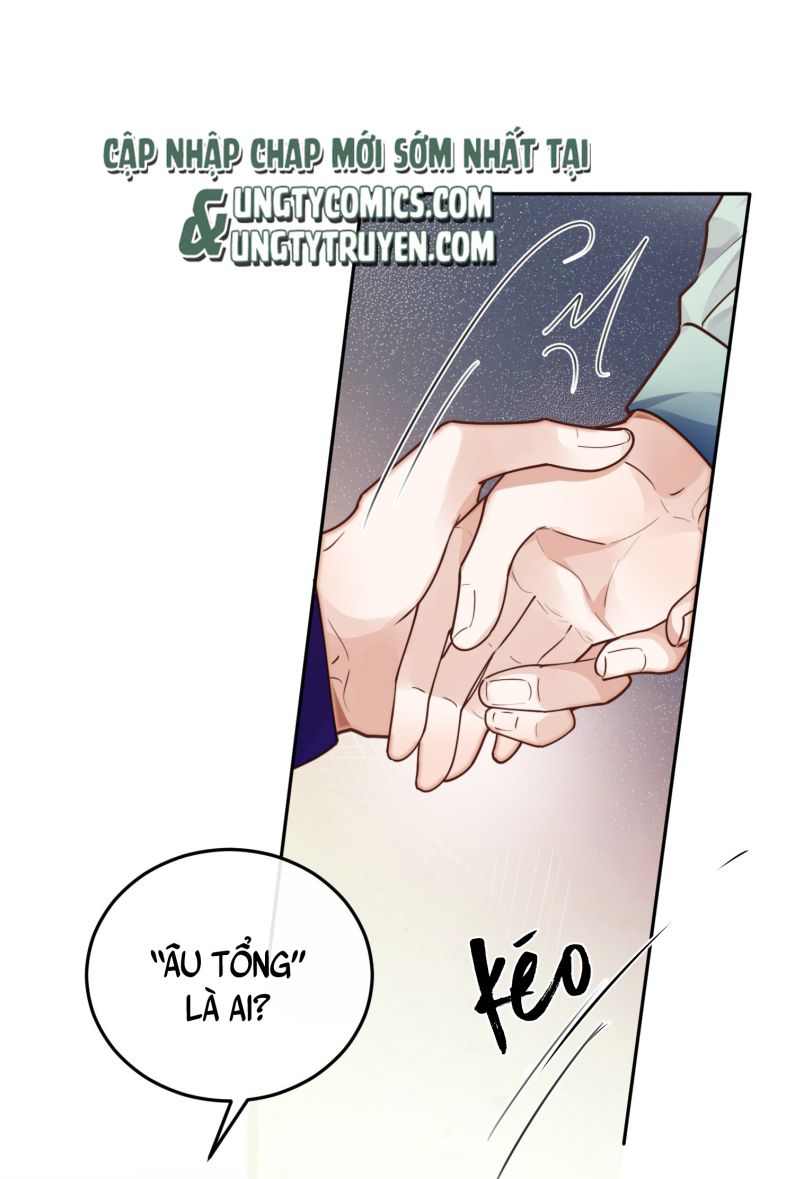 Tổng Tài Định Chế Tư Nhân Chapter 20 - Trang 4