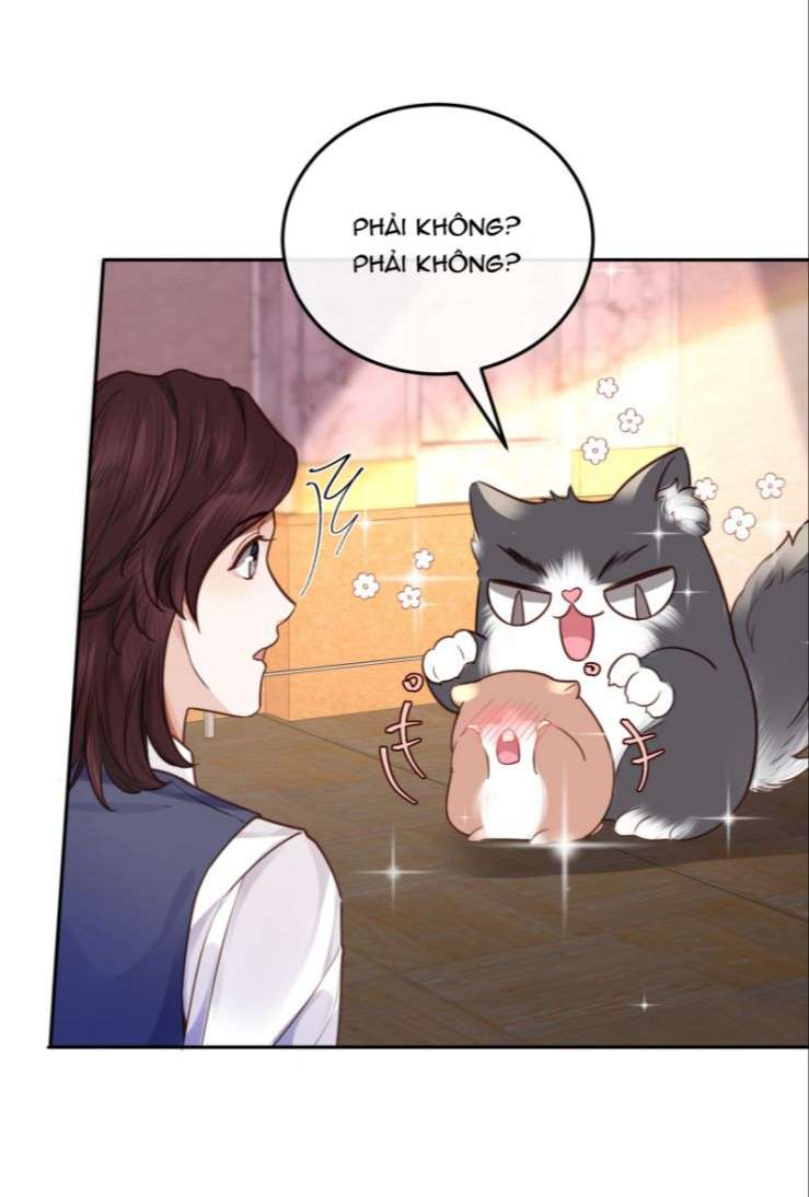 Tổng Tài Định Chế Tư Nhân Chapter 24 - Trang 4