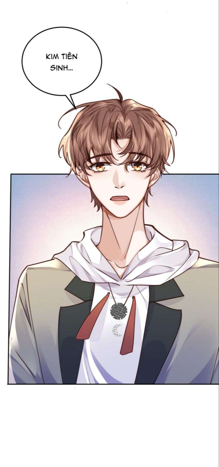 Tổng Tài Định Chế Tư Nhân Chapter 24 - Trang 4