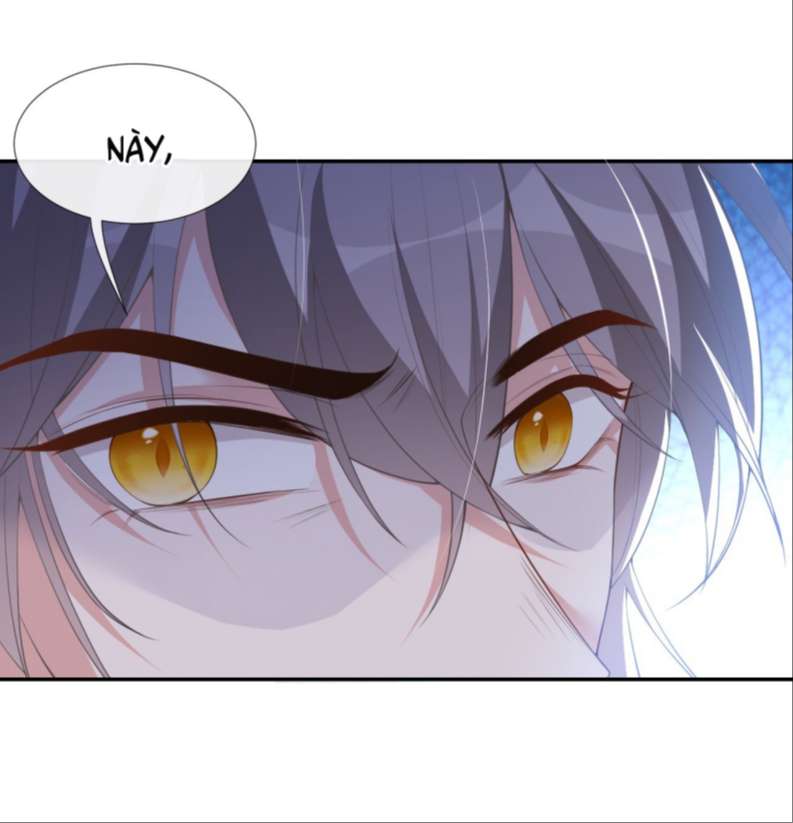 Quan Hệ Thế Thân Chapter 71 - Next Chapter 72