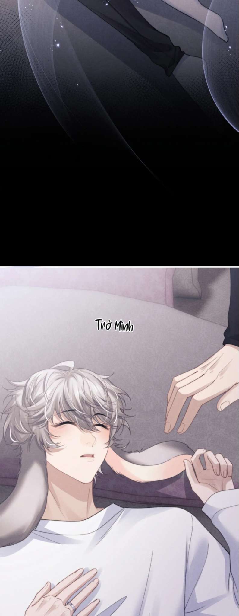 Chấp Sự Thỏ Cụp Tai Chapter 19 - Next Chapter 20