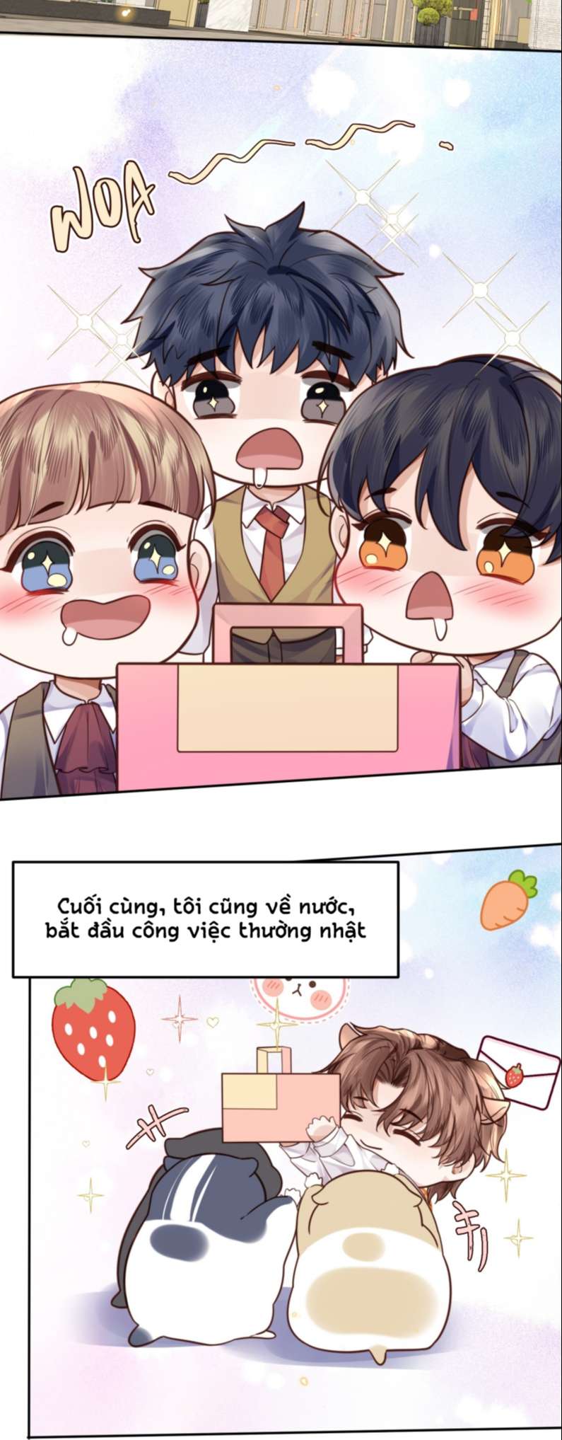 Tổng Tài Định Chế Tư Nhân Chapter 30 - Trang 4