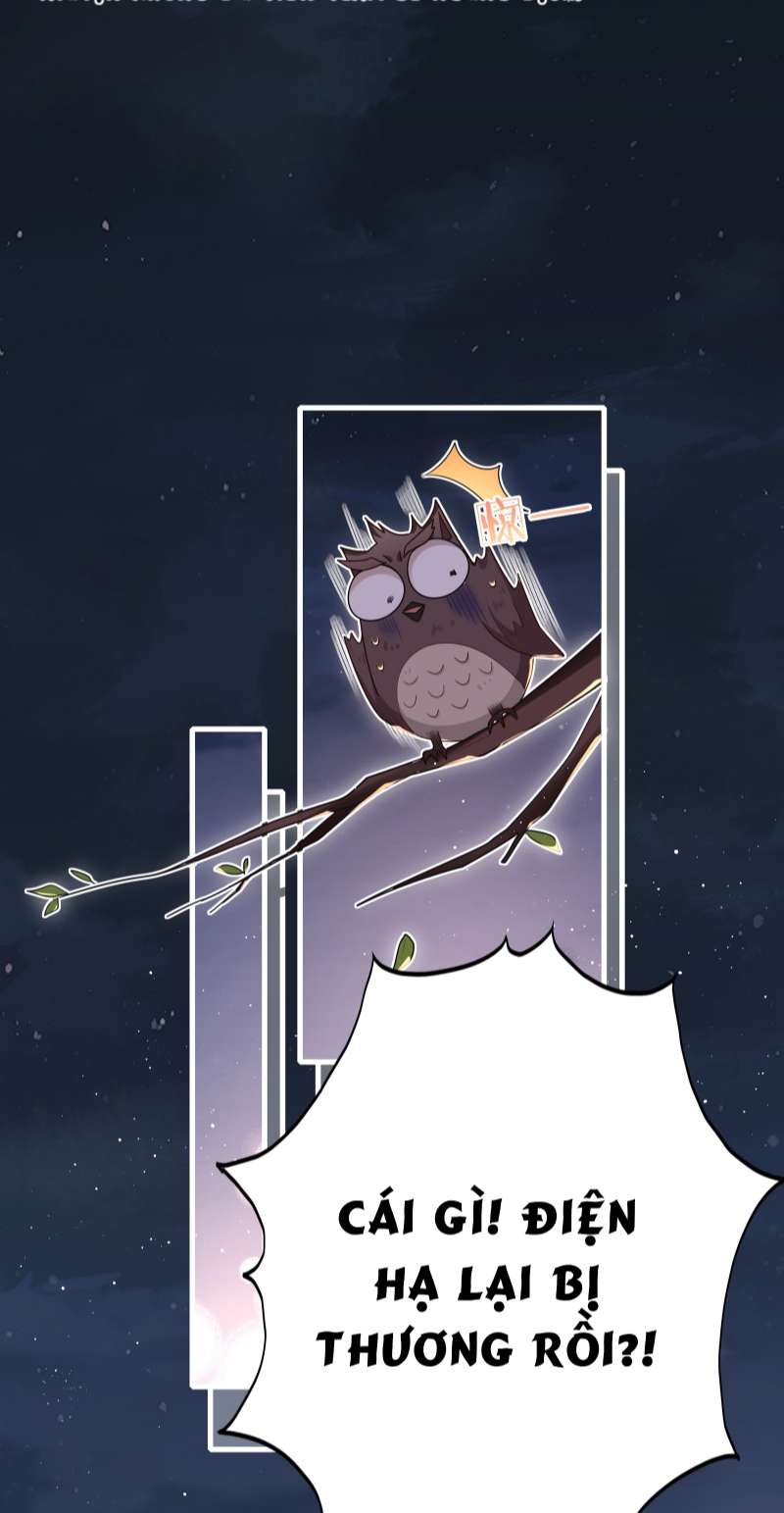 Điện Hạ Khuynh Thành Chapter 27 - Next Chapter 28