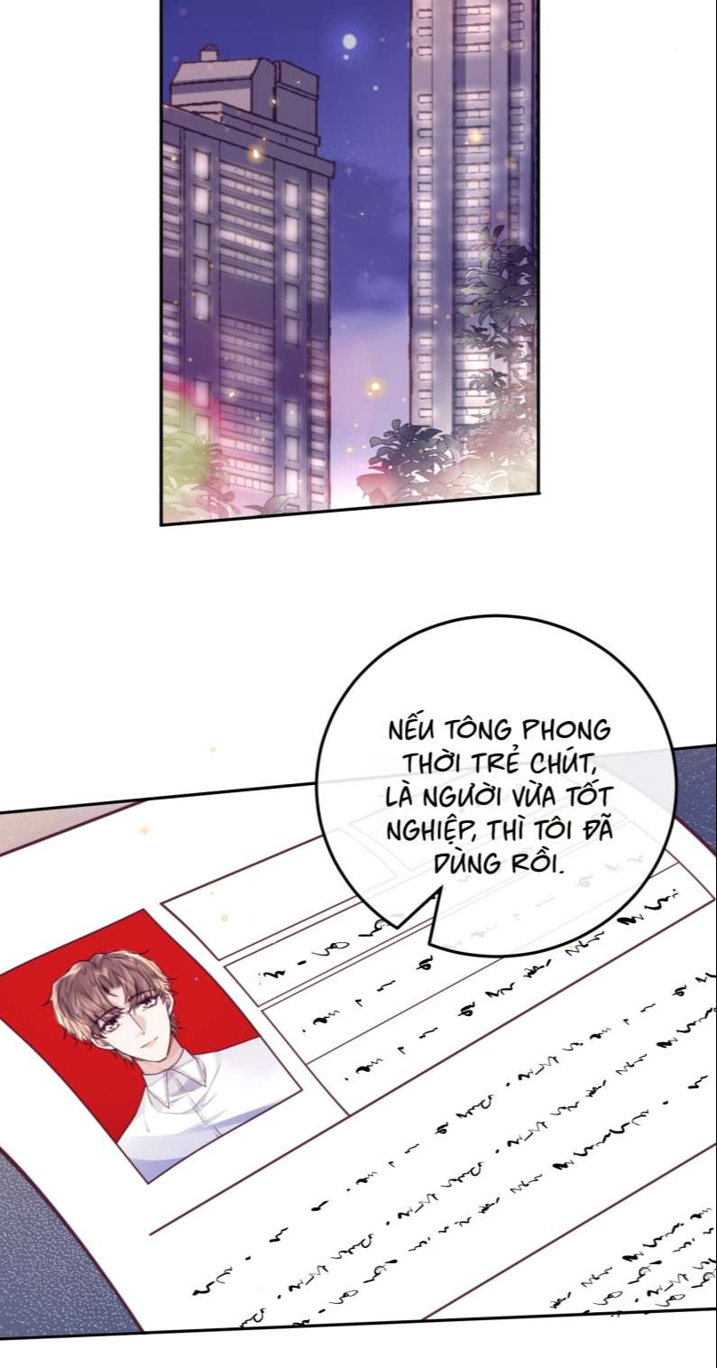 Tổng Tài Định Chế Tư Nhân Chapter 33 - Trang 4