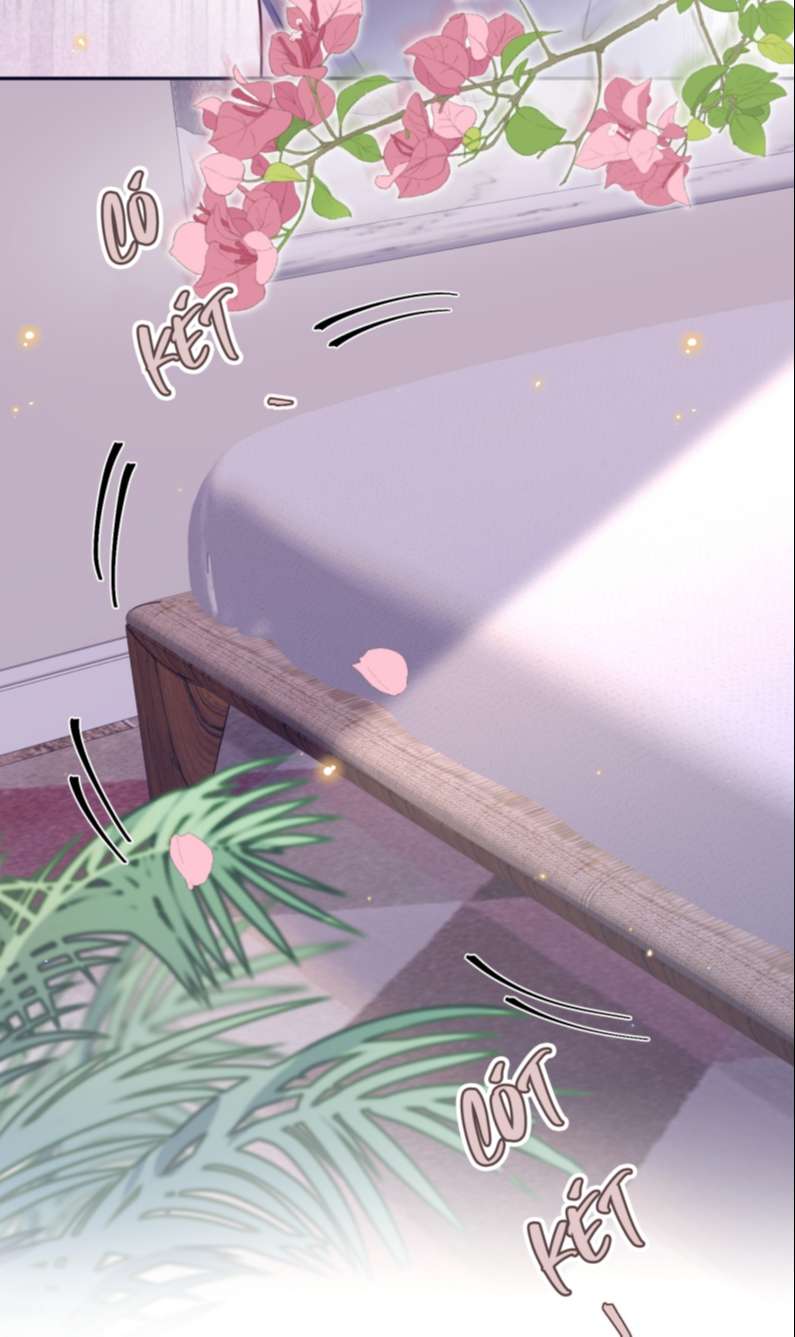 Tổng Tài Định Chế Tư Nhân Chapter 36 - Trang 4