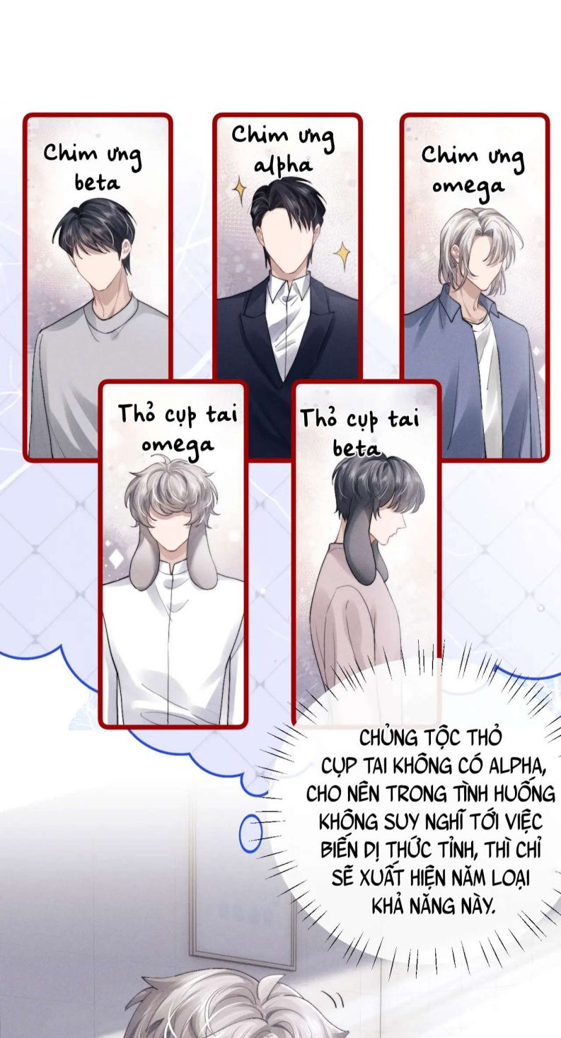 Chấp Sự Thỏ Cụp Tai Chapter 33 - Trang 4