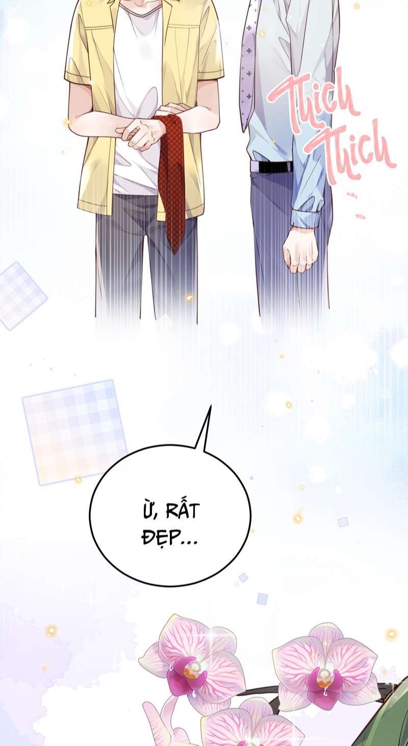 Tổng Tài Định Chế Tư Nhân Chapter 44 - Trang 4