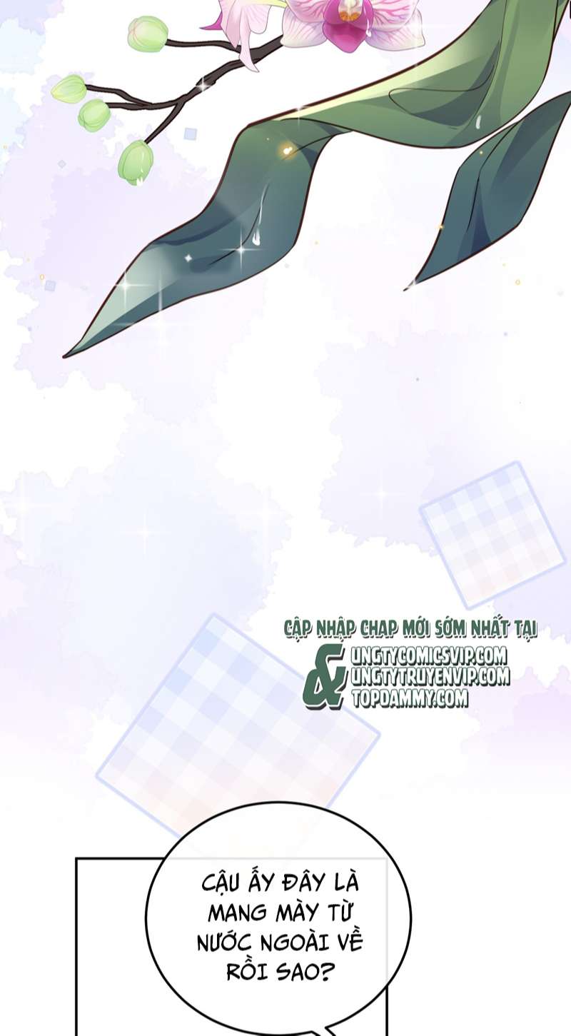 Tổng Tài Định Chế Tư Nhân Chapter 44 - Trang 4