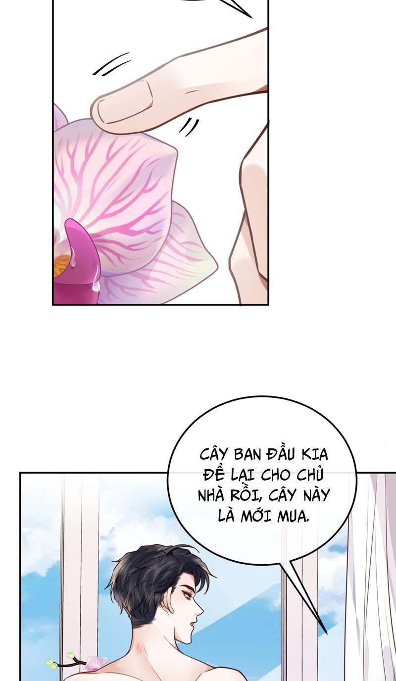 Tổng Tài Định Chế Tư Nhân Chapter 44 - Trang 4