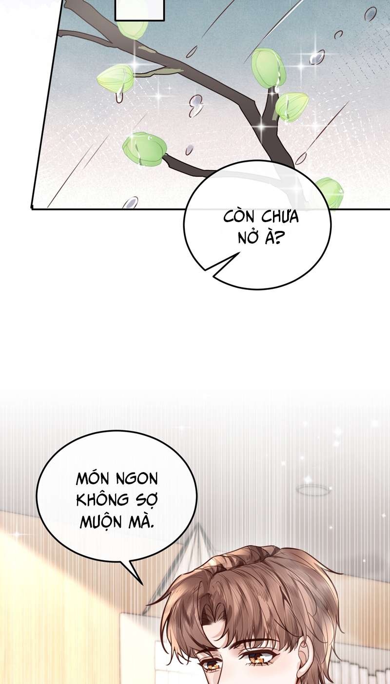 Tổng Tài Định Chế Tư Nhân Chapter 44 - Trang 4