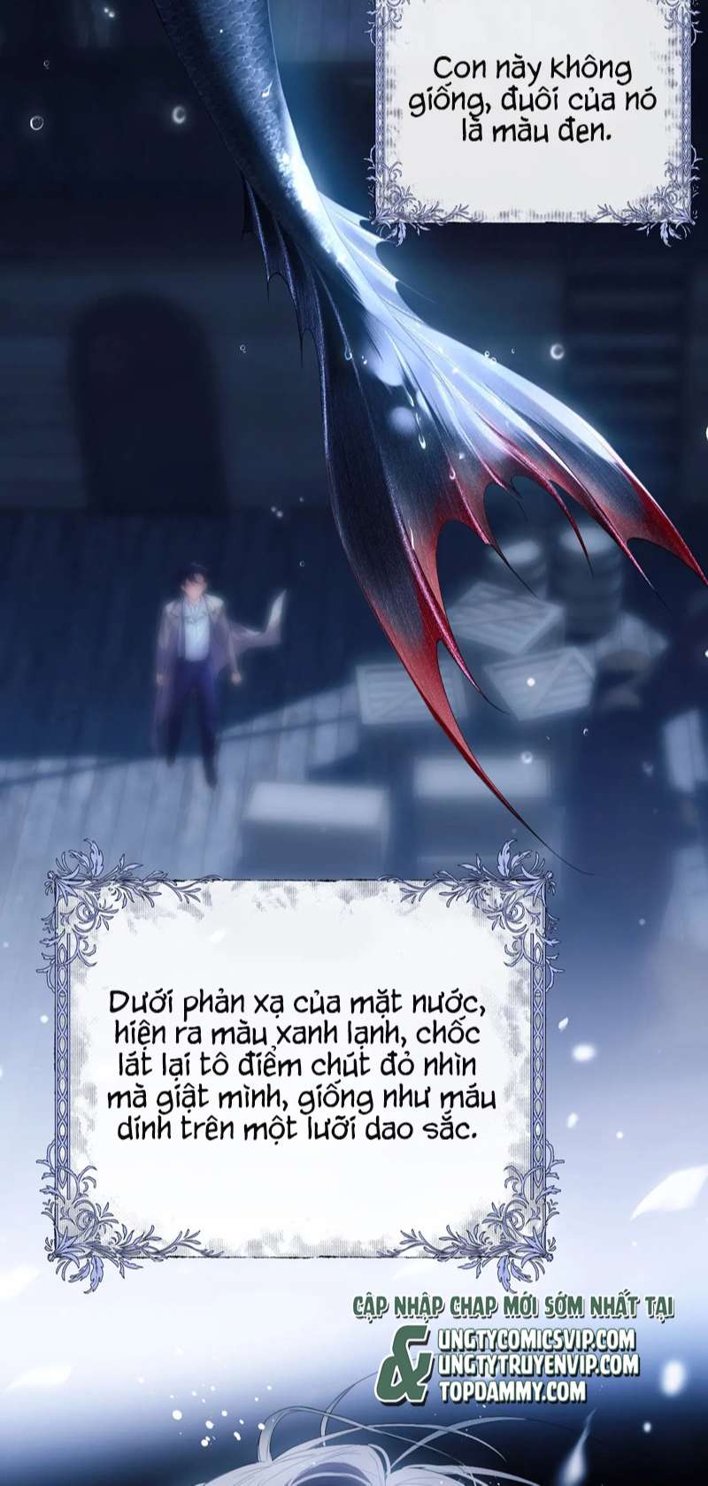 Desharow Nhân Ngư Chap 1 - Trang 2