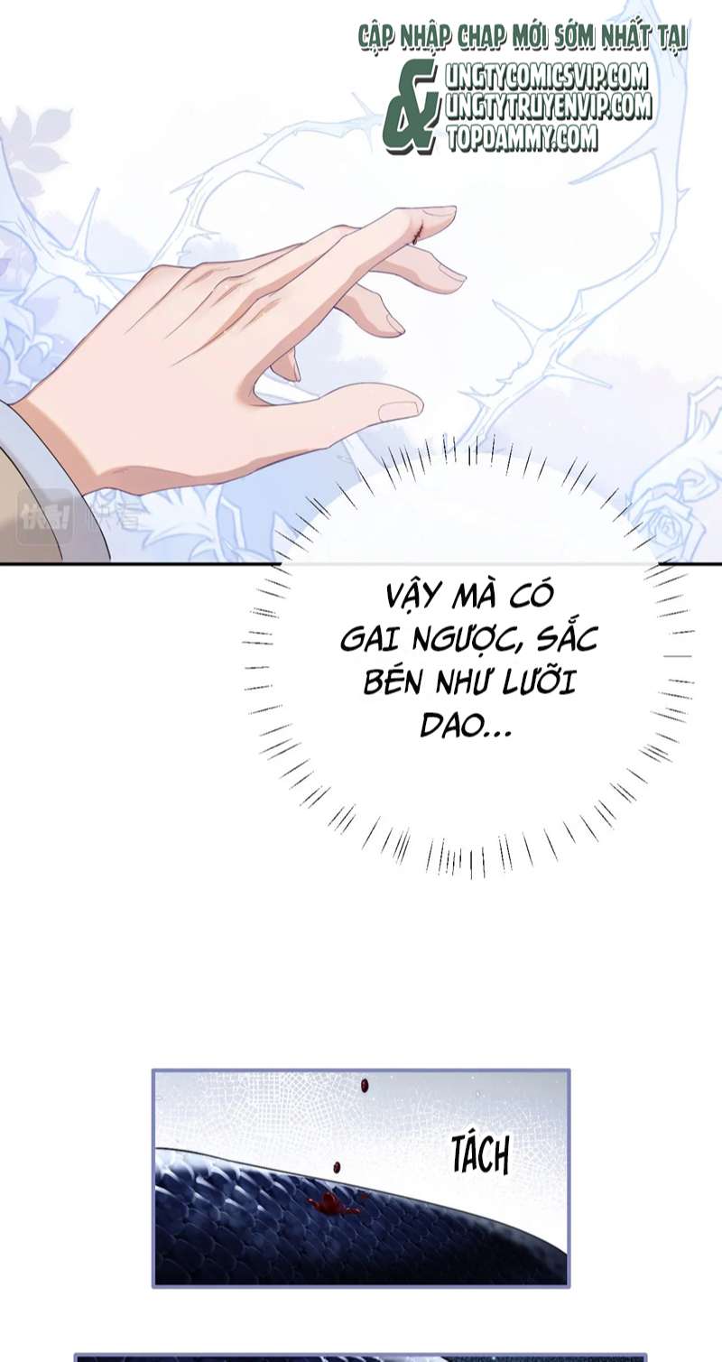 Desharow Nhân Ngư Chap 1 - Trang 2