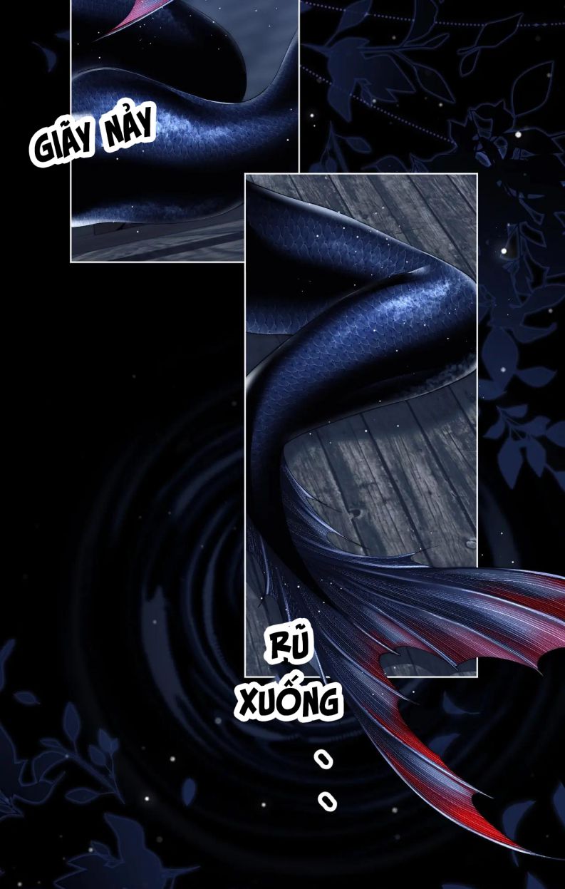 Desharow Nhân Ngư Chap 2 - Trang 4