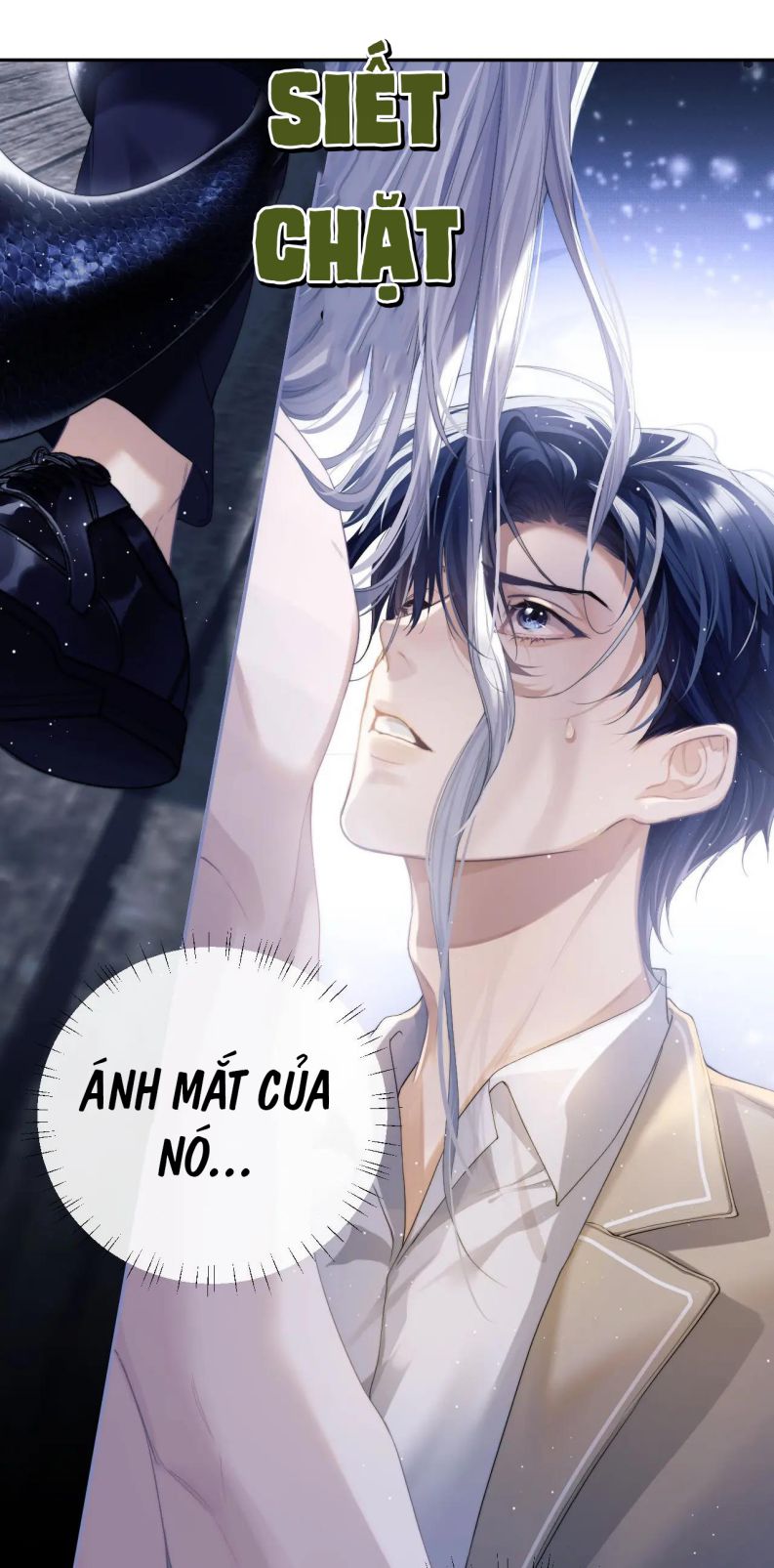 Desharow Nhân Ngư Chap 2 - Trang 4