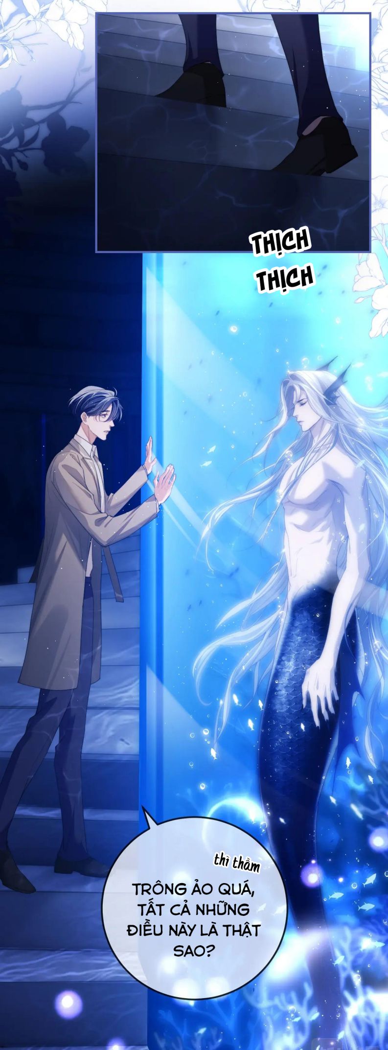 Desharow Nhân Ngư Chap 2 - Trang 4