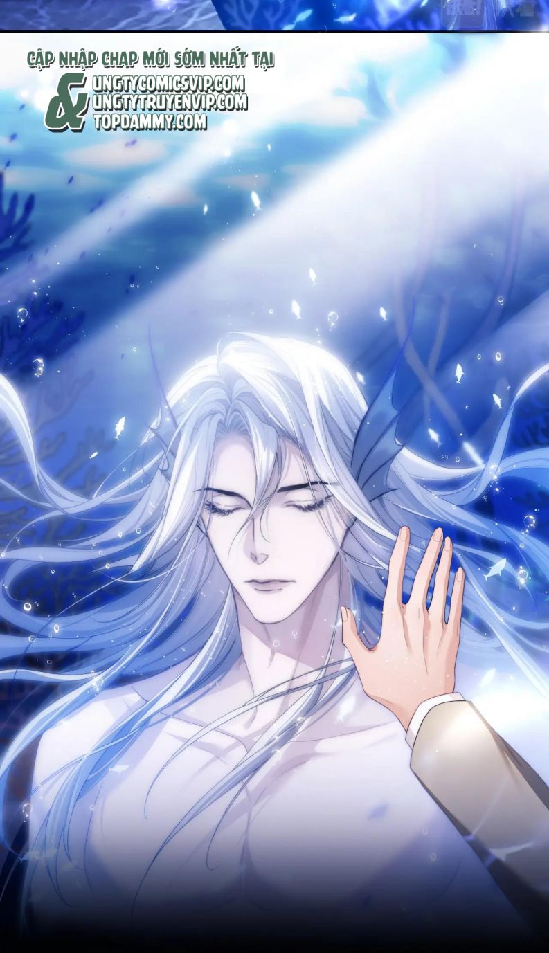 Desharow Nhân Ngư Chap 2 - Trang 4