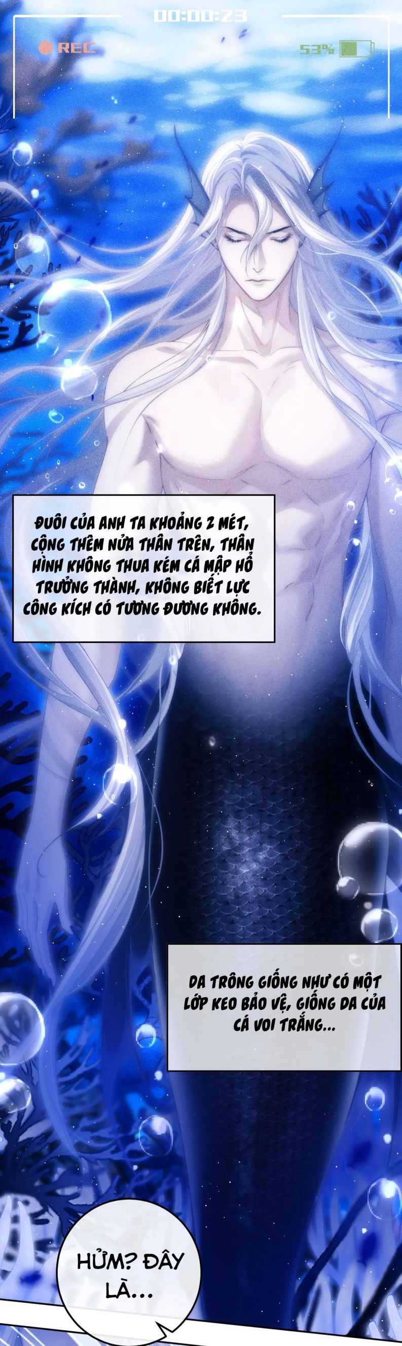 Desharow Nhân Ngư Chap 2 - Trang 4