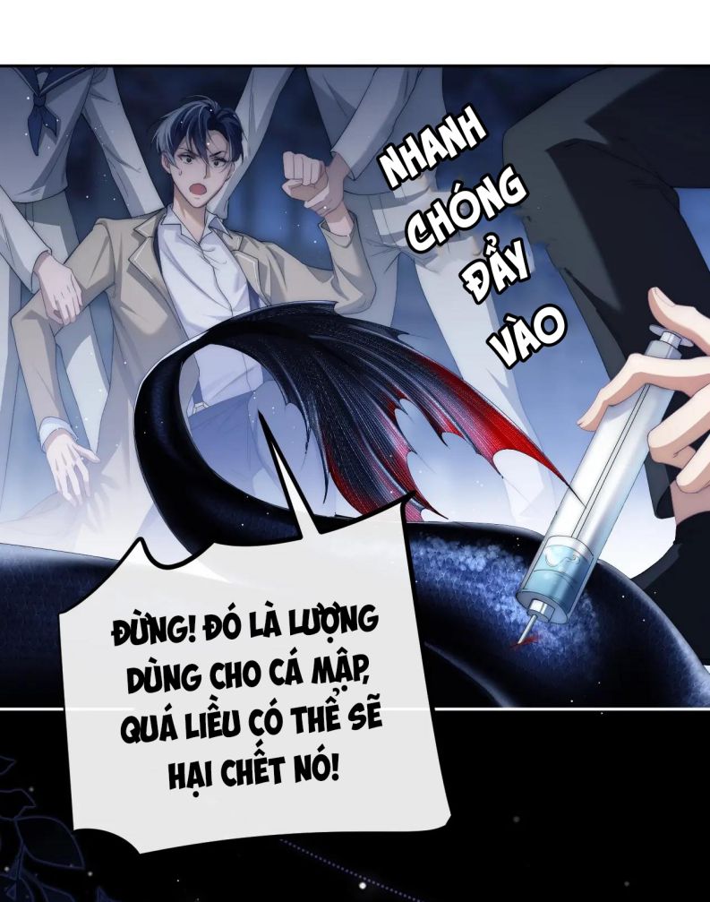 Desharow Nhân Ngư Chap 2 - Trang 4