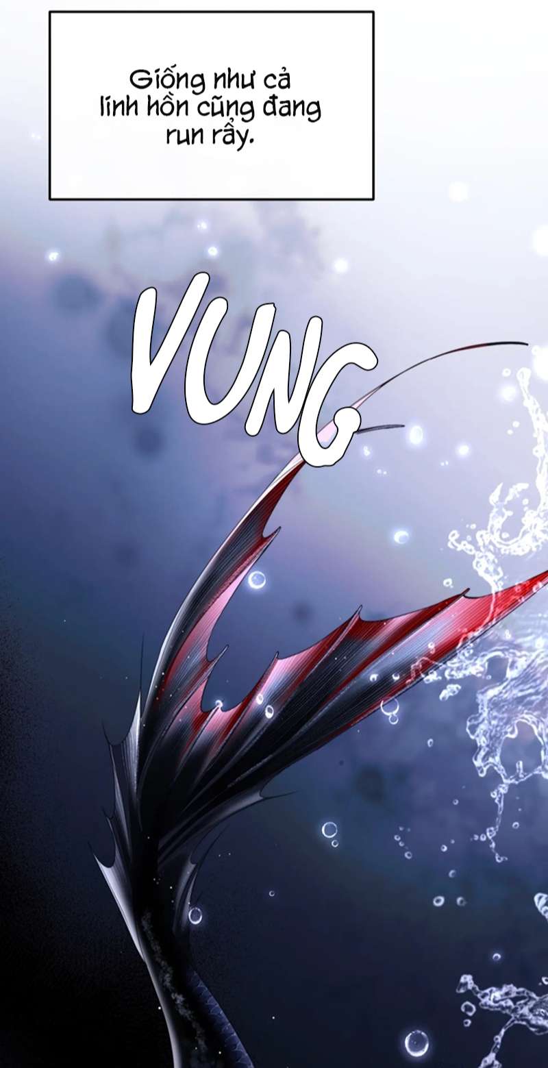 Desharow Nhân Ngư Chapter 3 - Trang 4