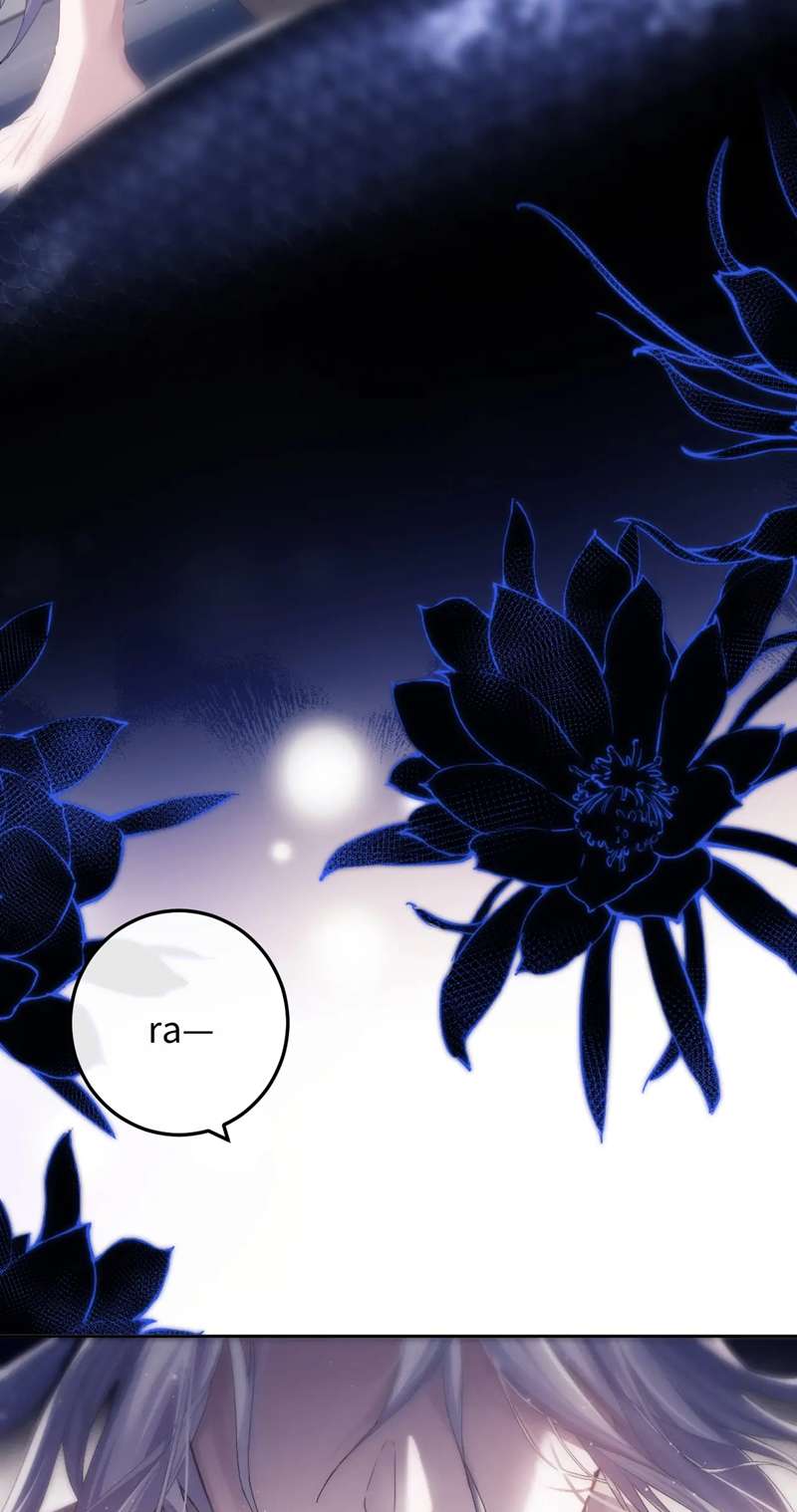 Desharow Nhân Ngư Chapter 3 - Trang 4