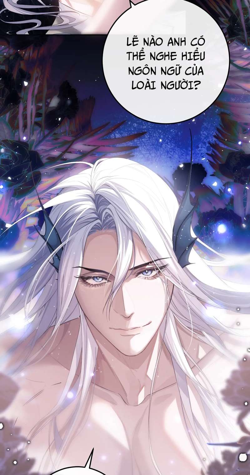 Desharow Nhân Ngư Chapter 3 - Trang 4