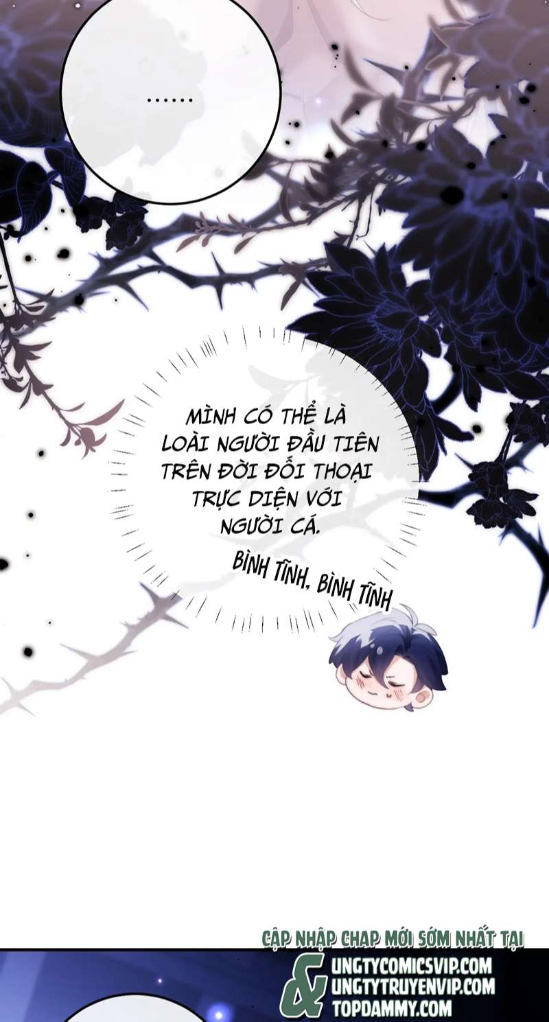 Desharow Nhân Ngư Chapter 3 - Trang 4