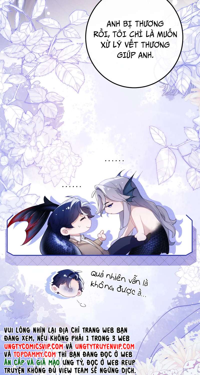 Desharow Nhân Ngư Chapter 3 - Trang 4