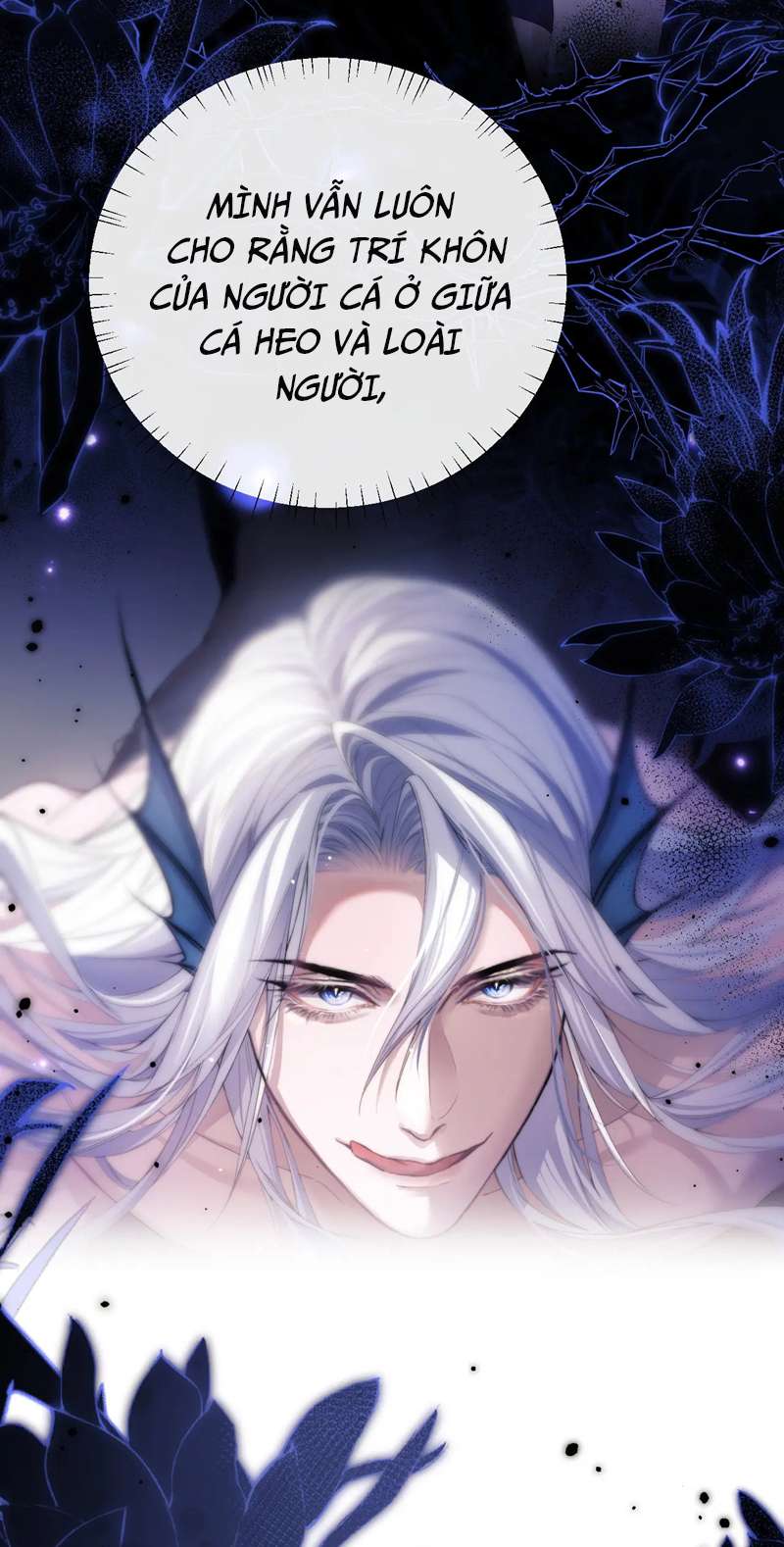 Desharow Nhân Ngư Chapter 3 - Trang 4