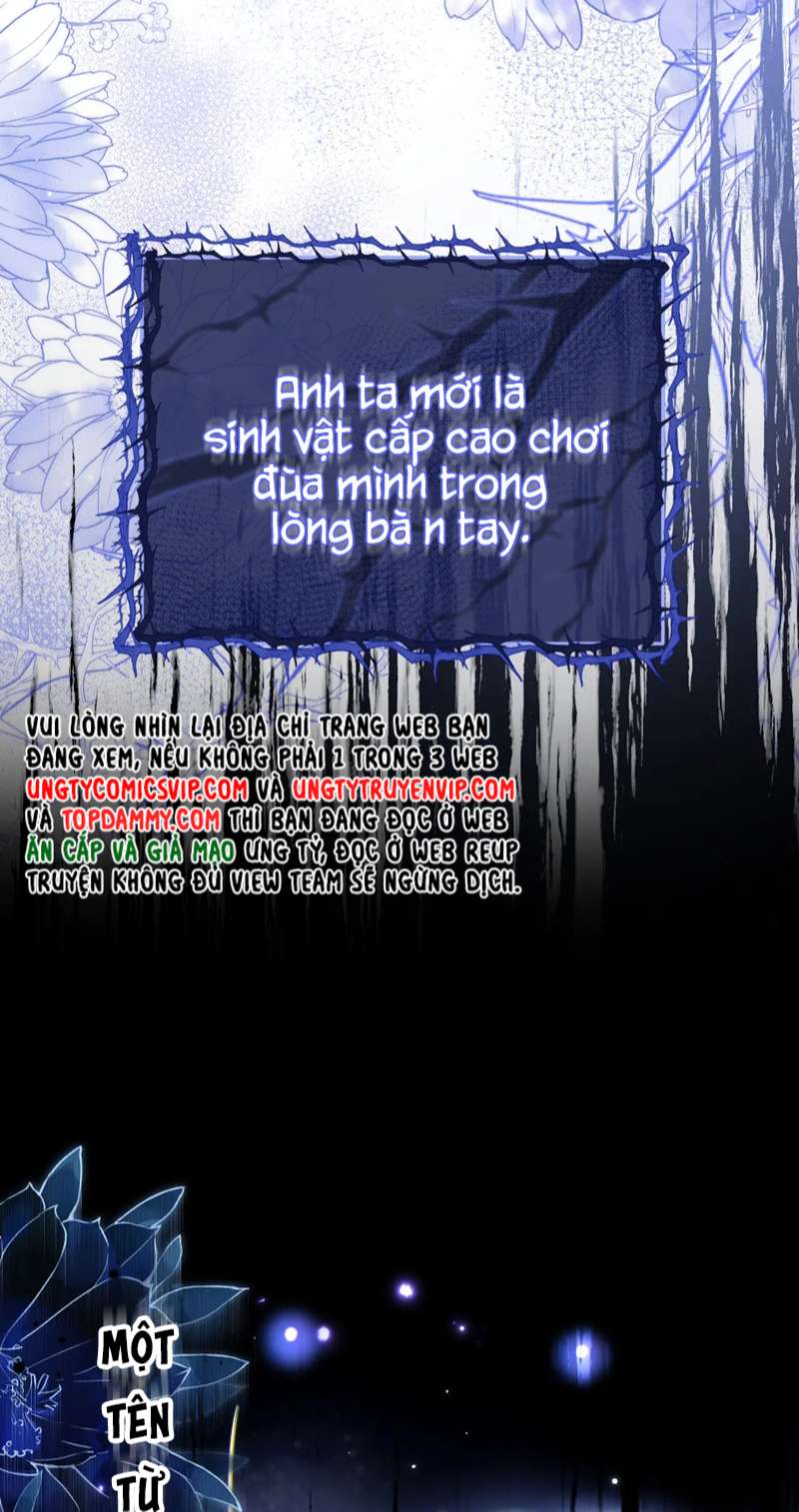 Desharow Nhân Ngư Chapter 3 - Trang 4