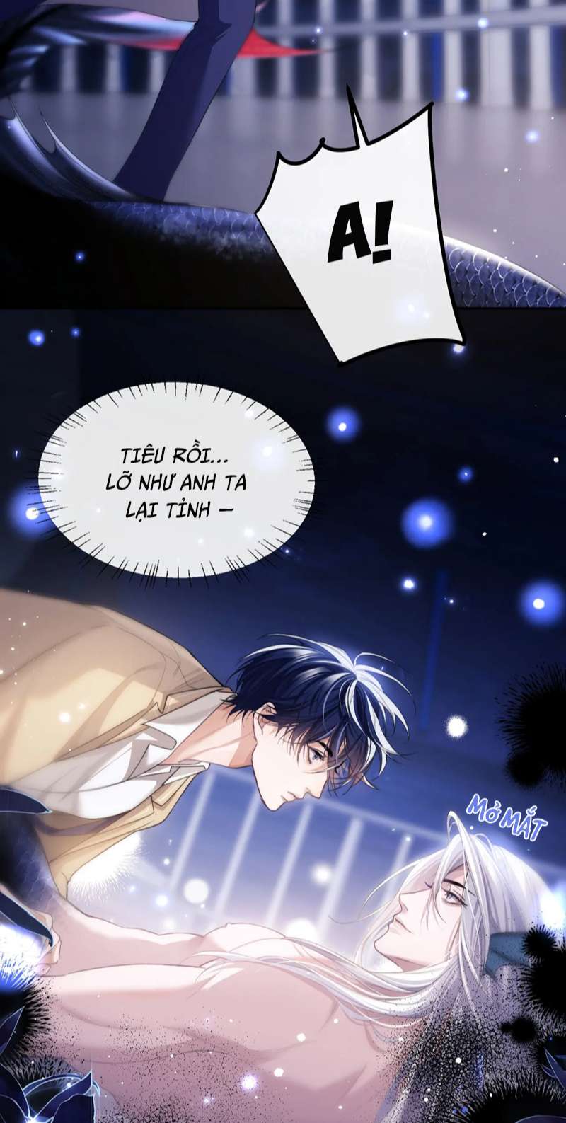 Desharow Nhân Ngư Chapter 3 - Trang 4