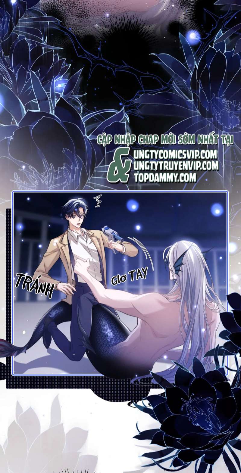 Desharow Nhân Ngư Chapter 3 - Trang 4