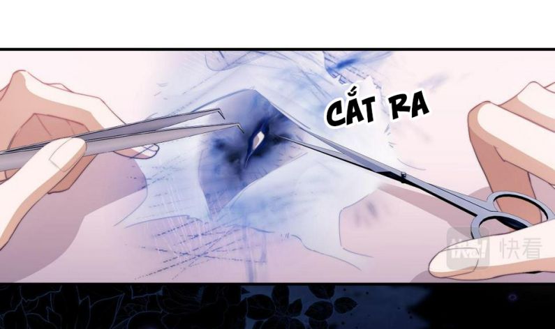 Desharow Nhân Ngư Chapter 4 - Trang 4