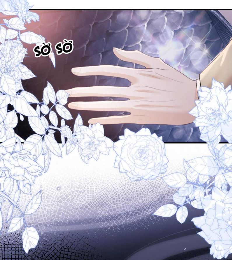 Desharow Nhân Ngư Chapter 4 - Trang 4