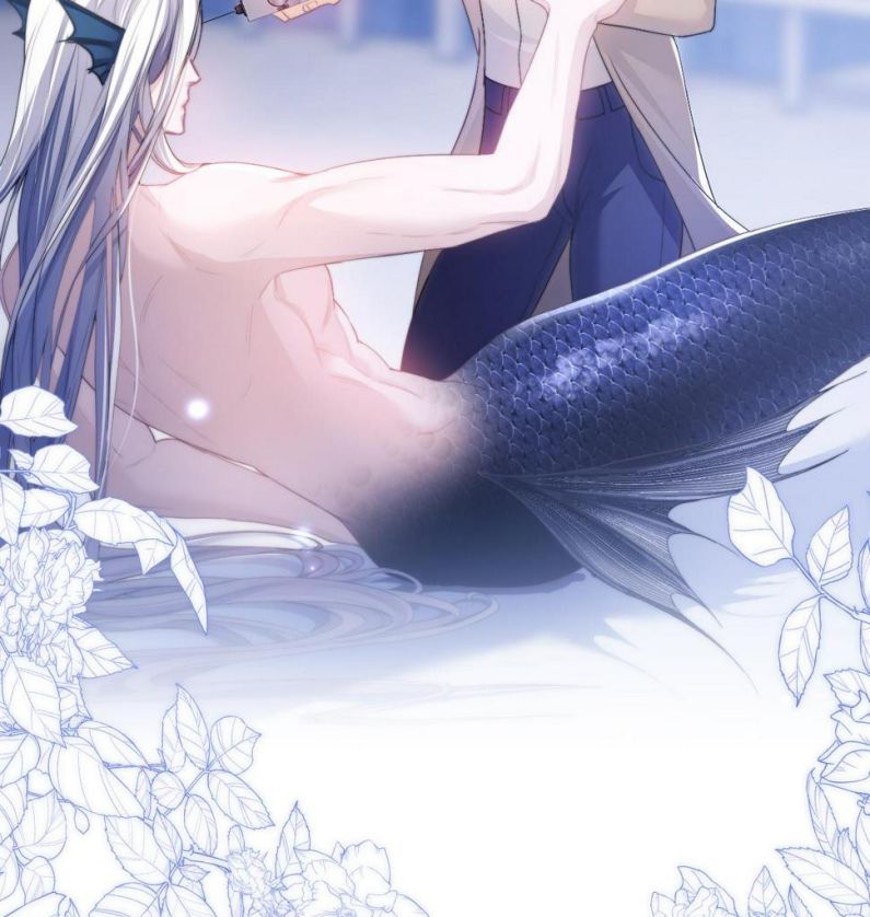 Desharow Nhân Ngư Chapter 4 - Trang 4