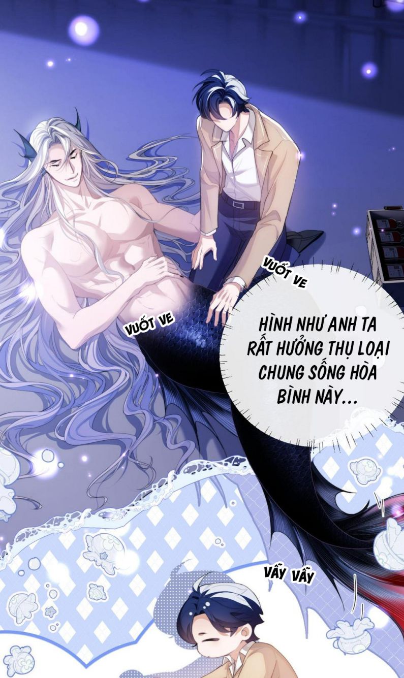 Desharow Nhân Ngư Chapter 4 - Trang 4