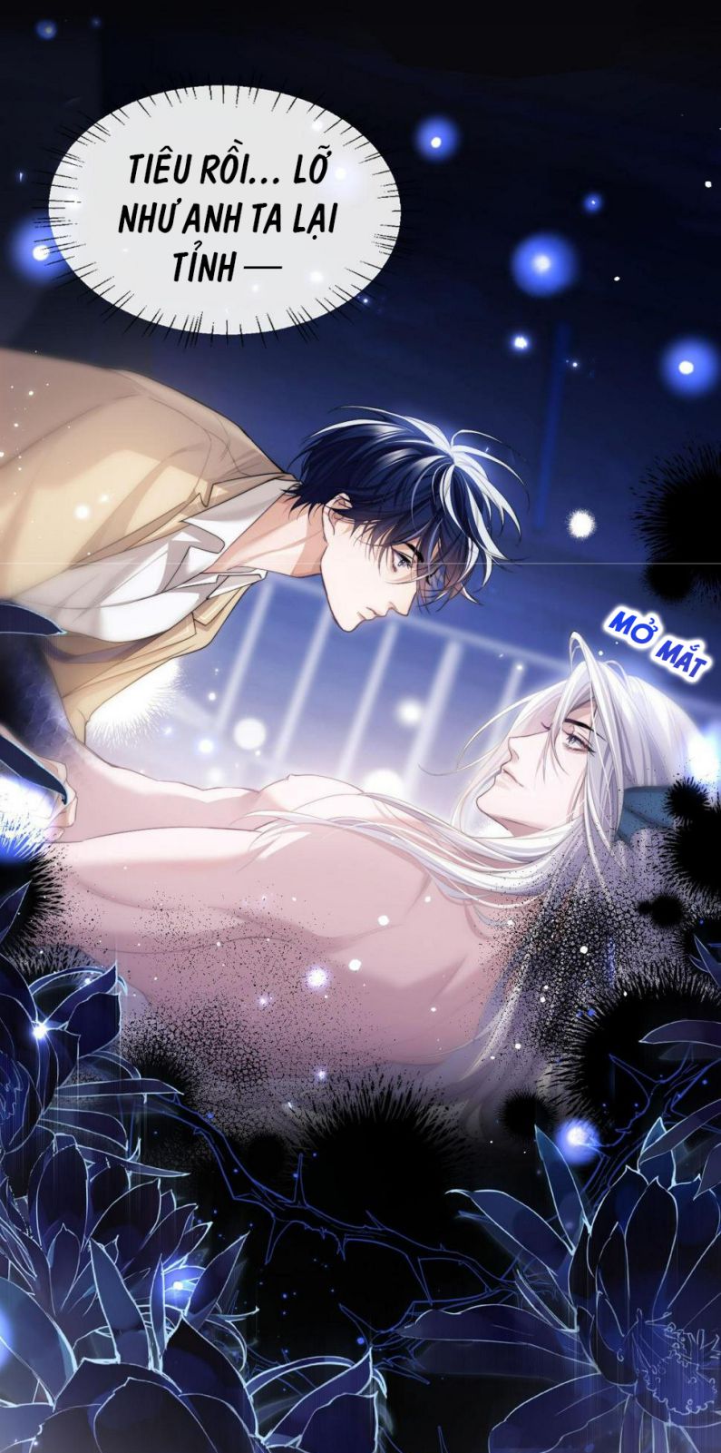 Desharow Nhân Ngư Chapter 4 - Trang 4