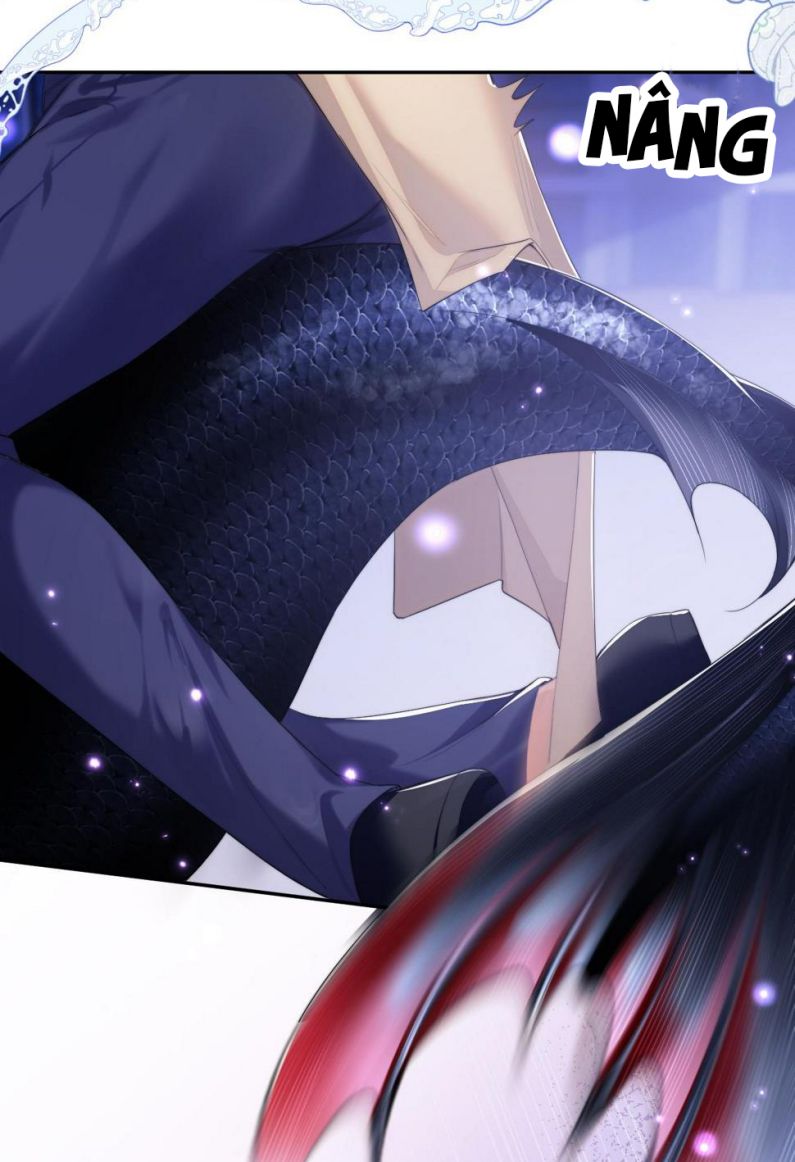 Desharow Nhân Ngư Chapter 4 - Trang 4