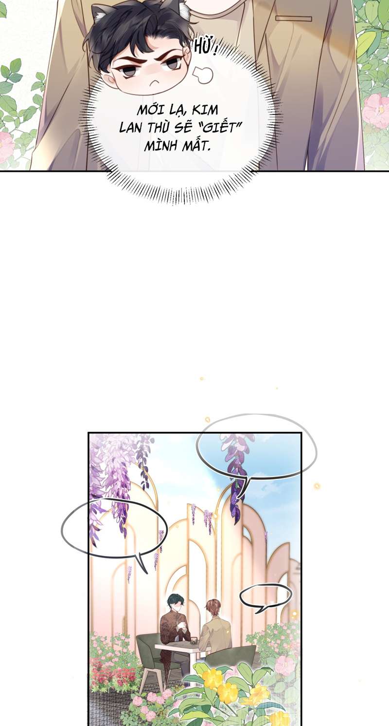 Tổng Tài Định Chế Tư Nhân Chapter 47 - Trang 4