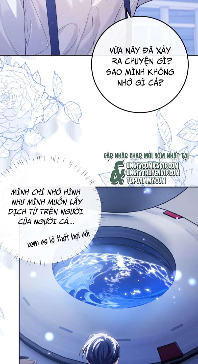 Desharow Nhân Ngư Chapter 5 - Trang 4