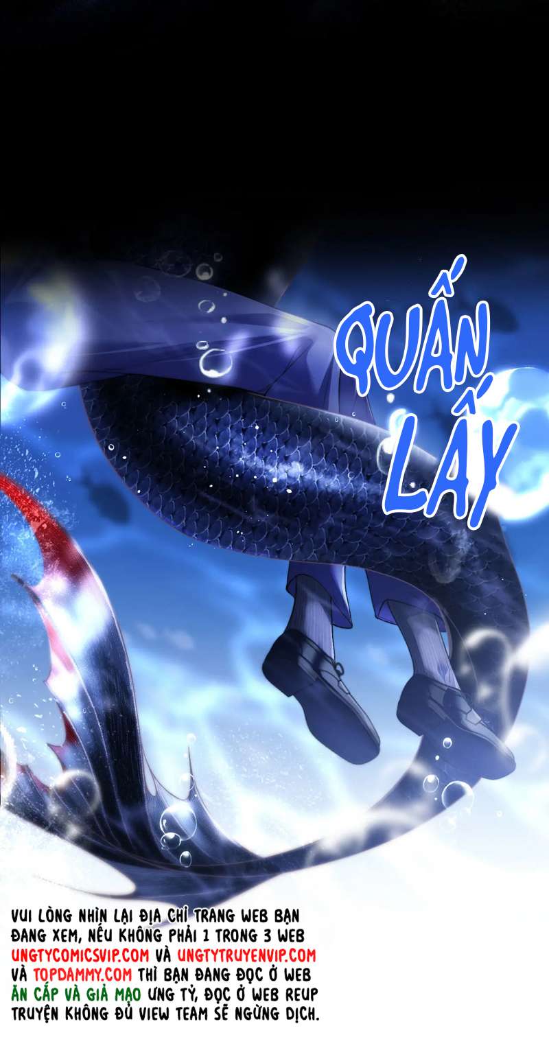 Desharow Nhân Ngư Chapter 5 - Trang 4