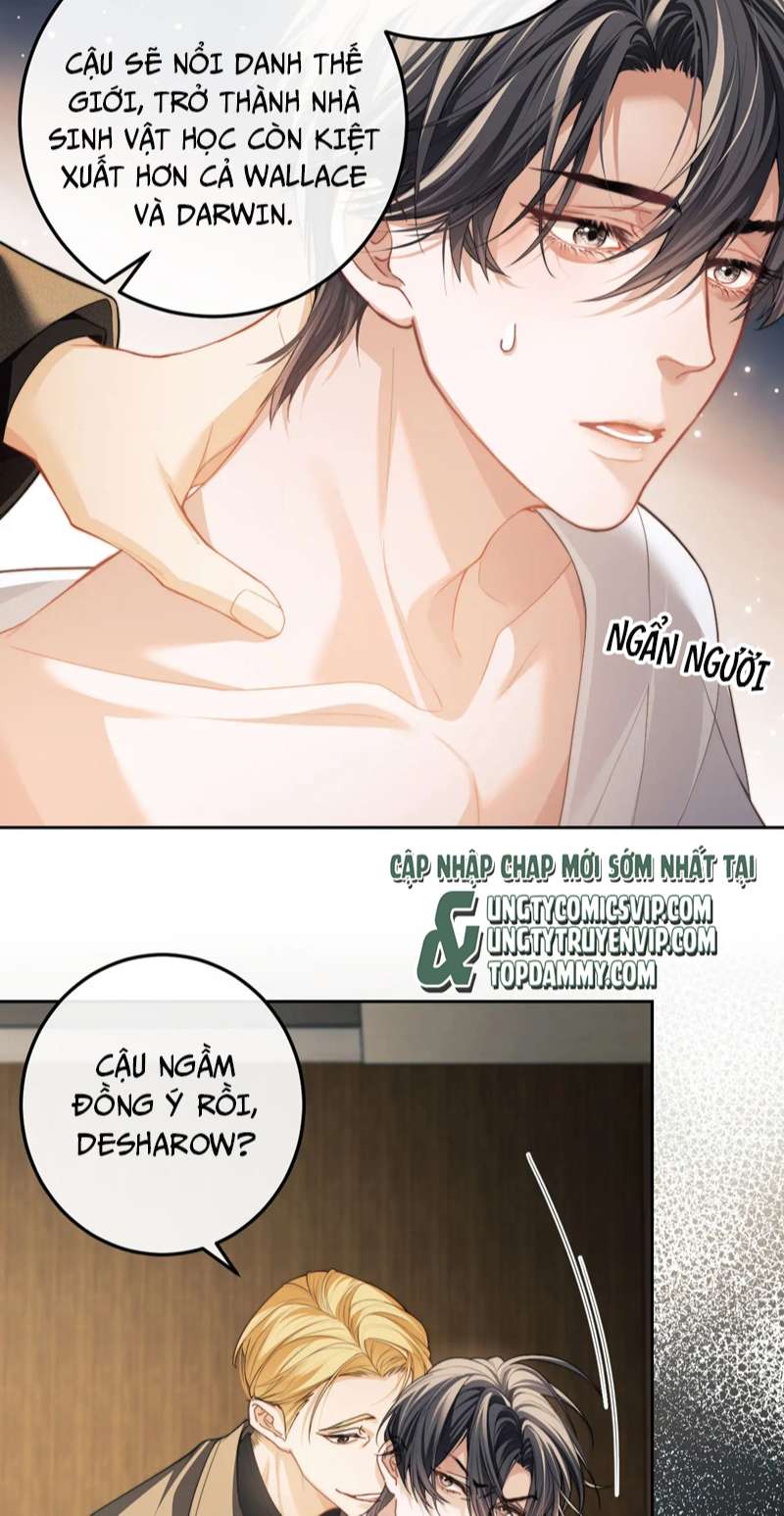 Desharow Nhân Ngư Chapter 5 - Trang 4