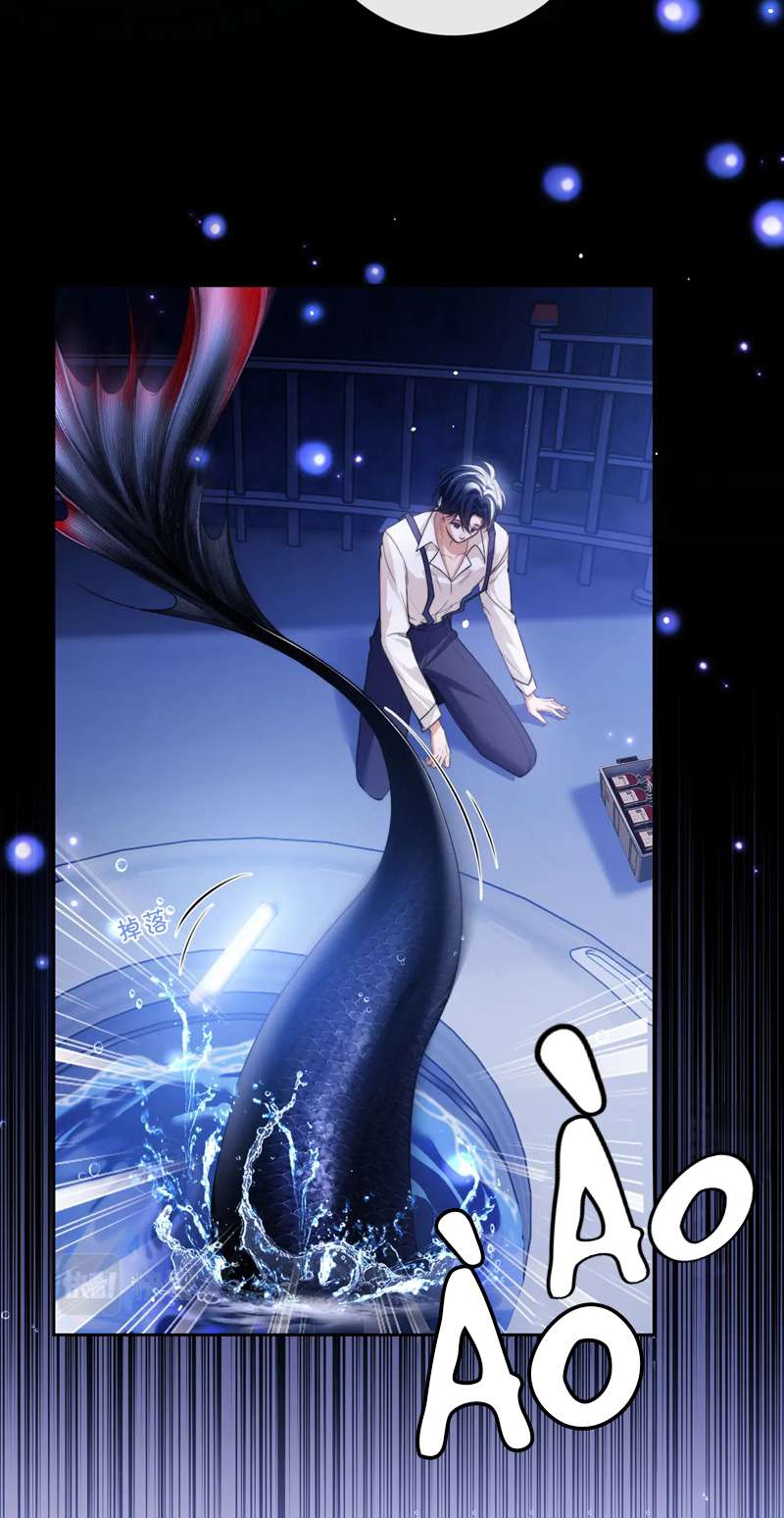 Desharow Nhân Ngư Chapter 5 - Trang 4